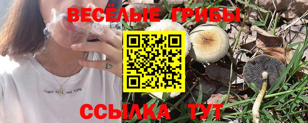 даркнет сайт  Вход с VPN  Ленинск-Кузнецкий  Галлюциногенные грибы MAGIC MUSHROOMS  Галлюциногенные грибы мицелий 