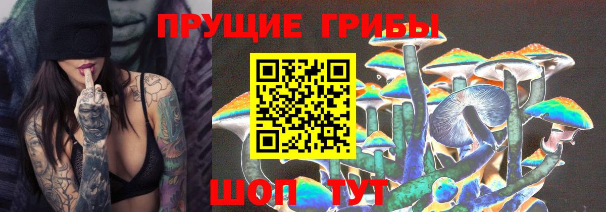 Псилоцибиновые грибы прущие грибы Ленинск-Кузнецкий